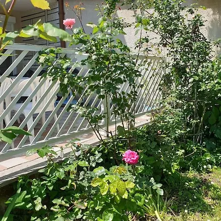 Simay Apartment Balatonalmadi