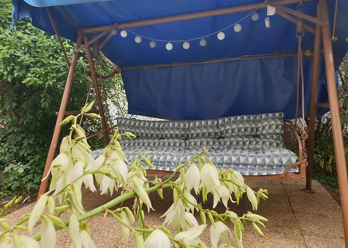 Simay * 巴拉顿诺尔马迪